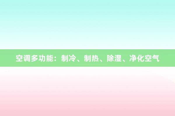 空调多功能：制冷、制热、除湿、净化空气